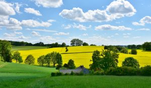 Fahrt ins Blaue zum Frühlingsanfang